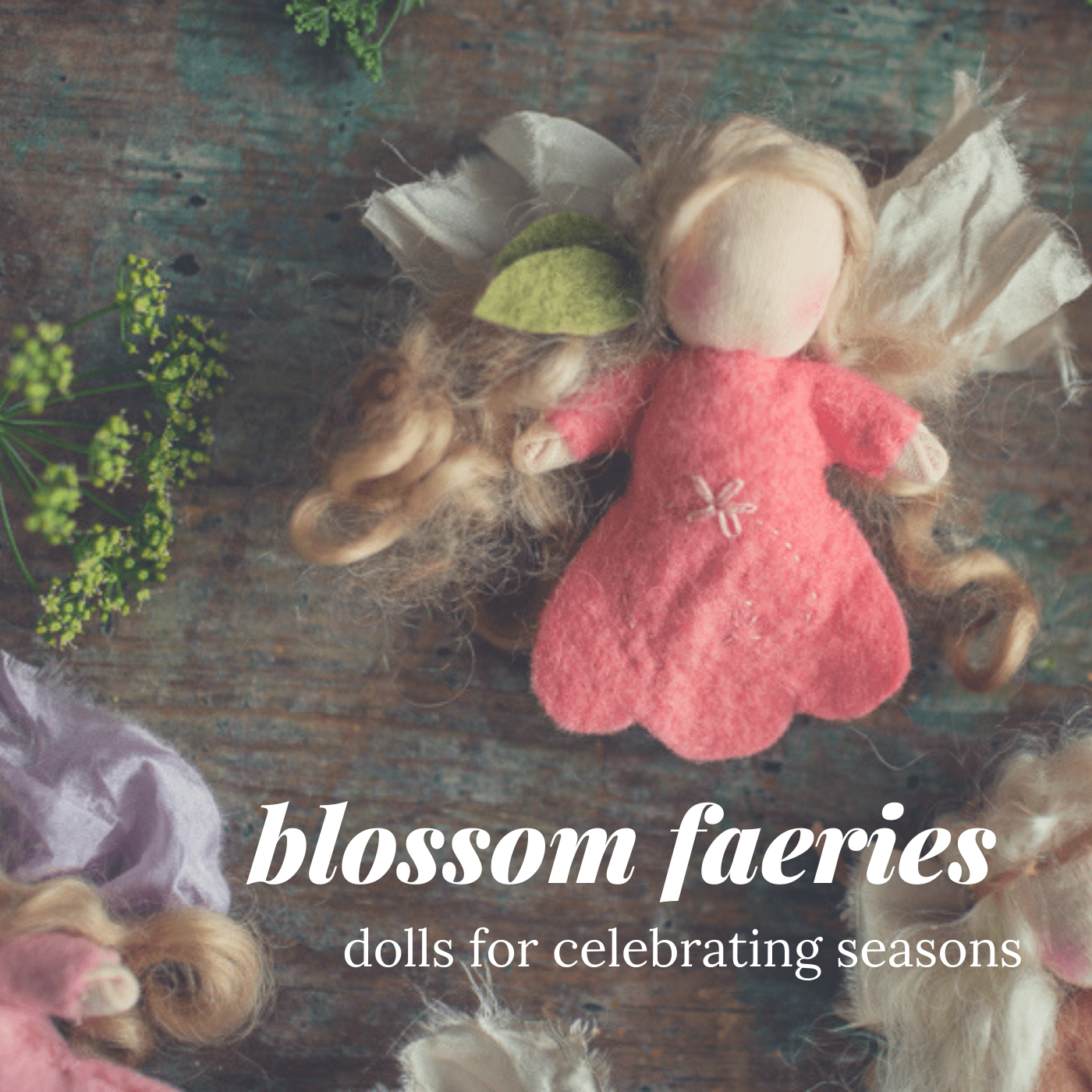 Blossom Faeries square Blossom Faeries square