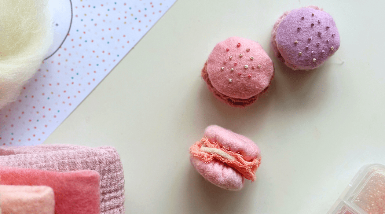 Waldorf Wool Felt French Macarons